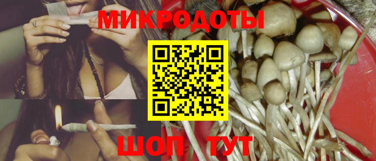 Грозный  Псилоцибиновые грибы мицелий  Вход с VPN 