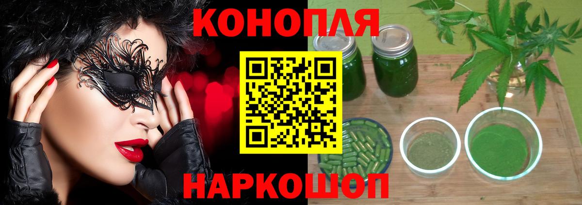 Бошки Шишки сатива Грозный